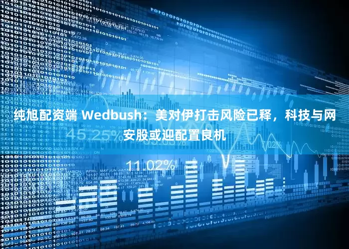 纯旭配资端 Wedbush：美对伊打击风险已释，科技与网安股或迎配置良机