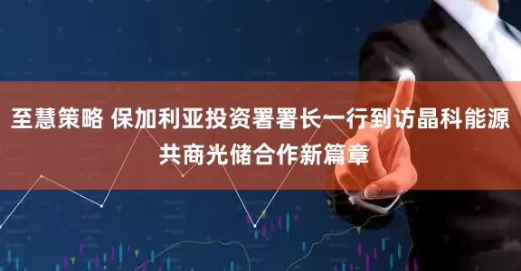 至慧策略 保加利亚投资署署长一行到访晶科能源 共商光储合作新篇章